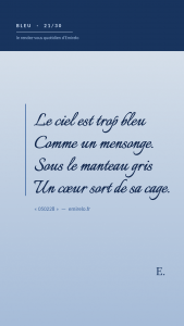 Le manteau gris