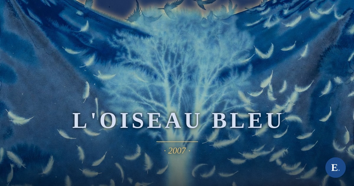 L'oiseau bleu, poème d'Emirelo (2007) : « A lui donner la couleur / tu es la couleur / tu es bleue // tu es l'oiseau / vole, / rejoins moi, / j'ai envie de vivre / de caresses de plumes » Texte intégral sur emirelo.fr.