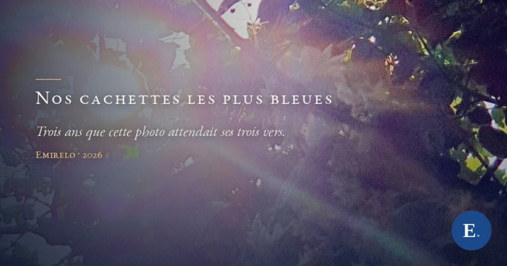 Carte-titre Emirelo : le titre « Nos cachettes les plus bleues » en petites capitales claires, pose a gauche sous un court filet d'or, sur une photographie de feuillage a contre-jour ou le soleil se decompose en fines irisations ; logo E. en bas a droite.